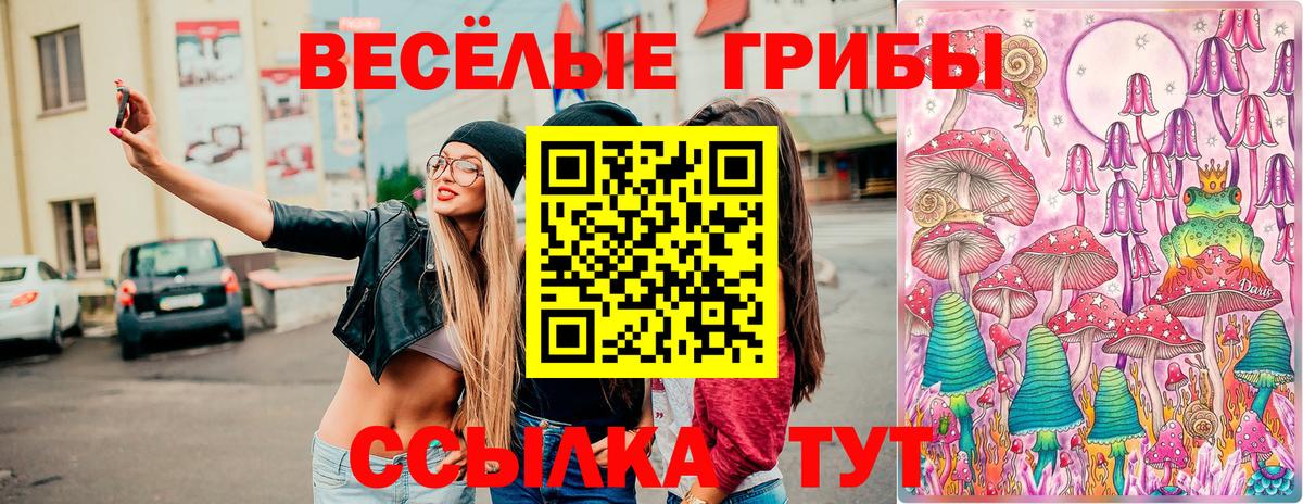 Галлюциногенные грибы Magic Shrooms Санкт-Петербург
