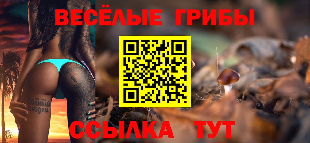 где продают   Галлюциногенные грибы GOLDEN TEACHER  Вход с VPN  Псилоцибиновые грибы Psilocybine cubensis  Санкт-Петербург 